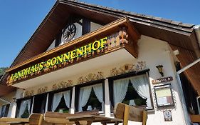 Landhaus Sonnenhof Todtnau 3*