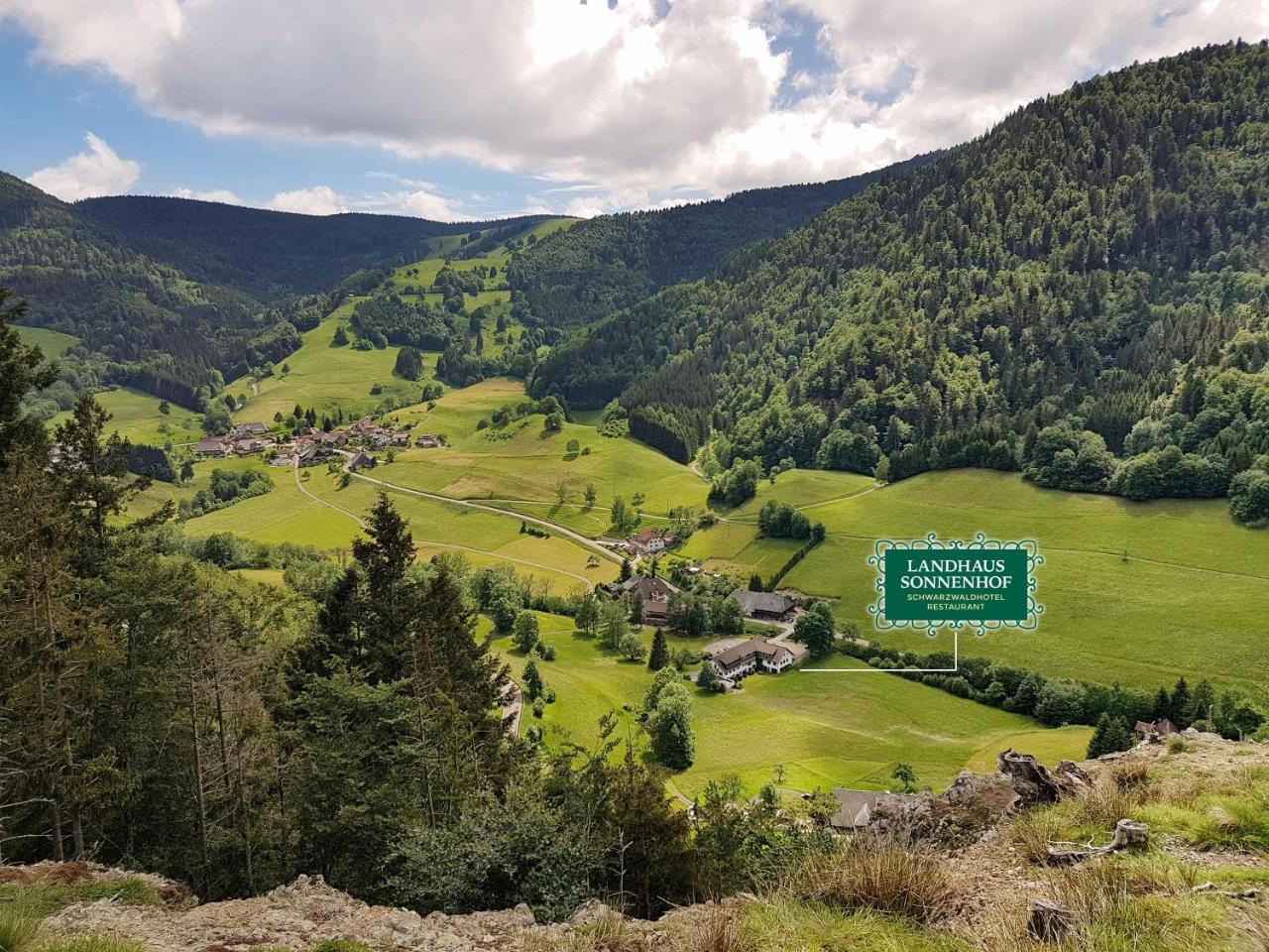 Hotel Landhaus Sonnenhof Todtnau Buitenkant foto