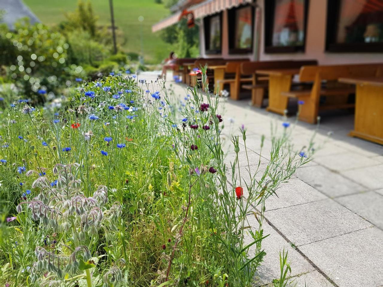 Hotel Landhaus Sonnenhof Todtnau Buitenkant foto